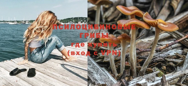 круглые Алексеевка
